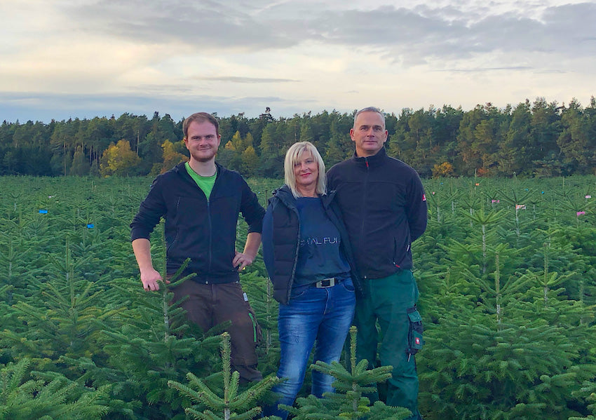 Weihnachtbaum Stich - ein-baum-eine-box - Familie Stich 